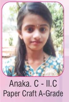 Work Experience- Kerala state- Paper craft making- A grade- 2017-2018