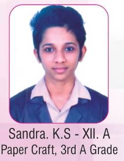 Work Experience- Kerala state- Paper craft- 3rd A grade- 2017-2018