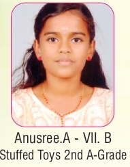 Work Experience- Kerala state- Stuffed Toys Making - 2nd A grade- 2017-2018
