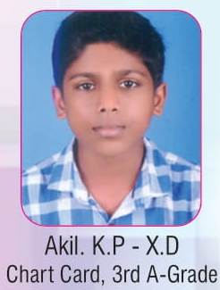 Work Experience- Kerala state- Chart Card making- 3rd A grade- 2017-2018