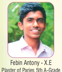 Work Experience- Kerala state- Plaster of Paris- 5th A grade- 2017-2018