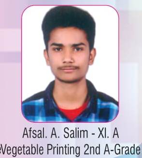 Work Experience- Kerala state- Vegetable Printing- 2nd A grade- 2017-2018
