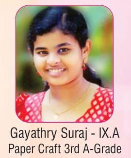Work Experience- Kerala state- Paper Craft - 3rd A grade- 2017-2018