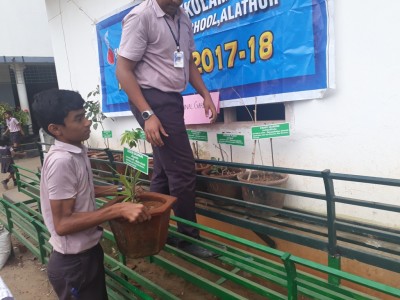 MEDICINAL PLANTS GARDEN