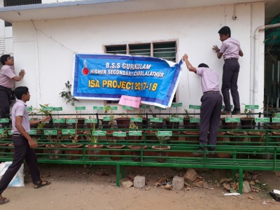 MEDICINAL PLANTS GARDEN