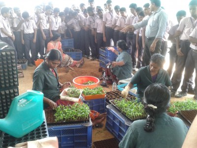 A Visit to Seed Processing Farm