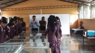 Coin Exhibition