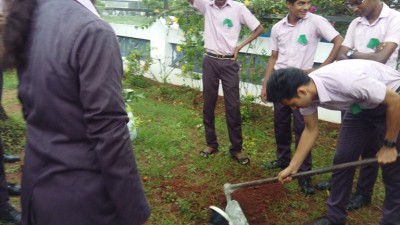 World Environment day 2017