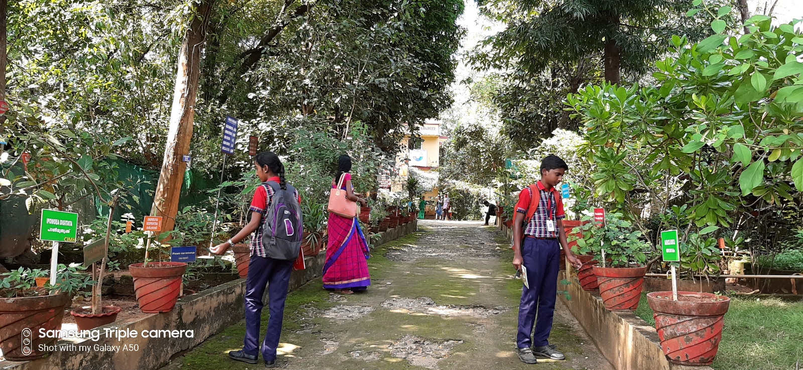 Arya Vaidya pharmacy factory kanjikode