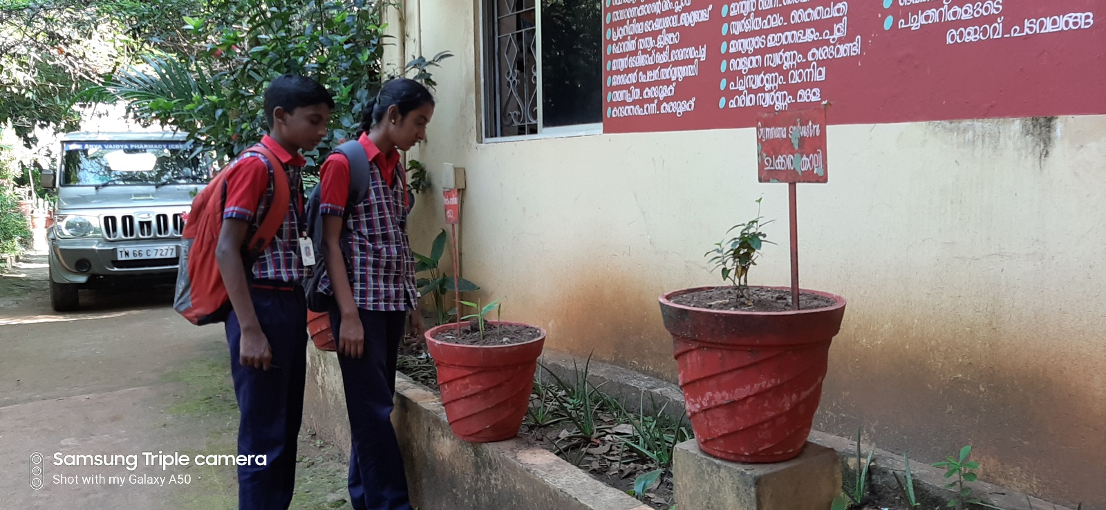 Arya Vaidya pharmacy factory kanjikode