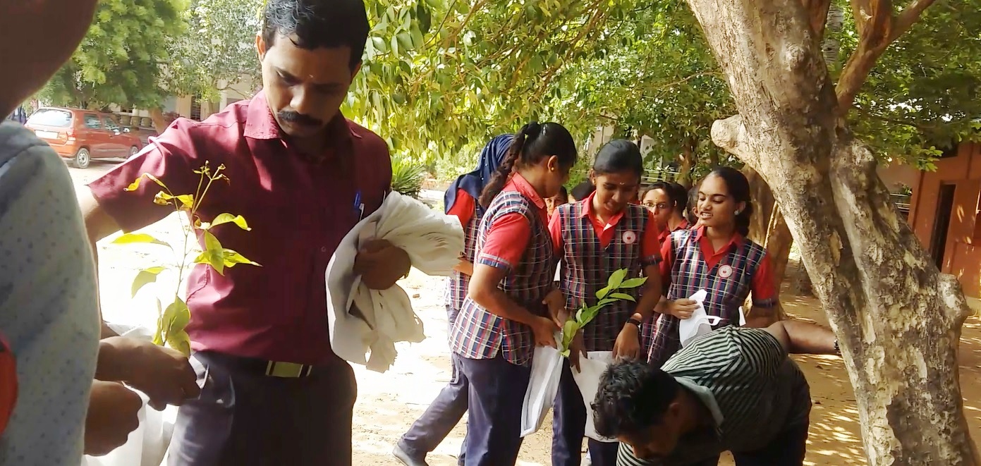 Sappling Distribution to Students 2019