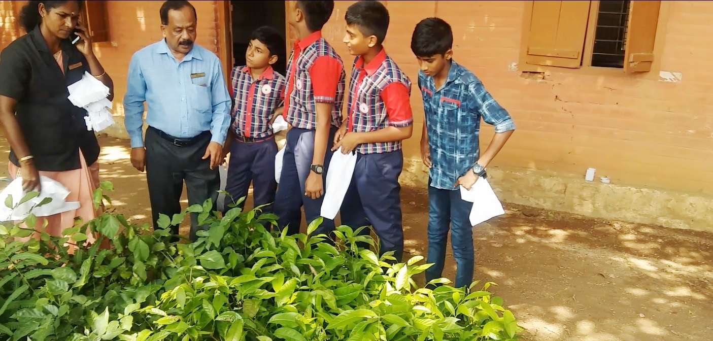 Sappling Distribution to Students 2019