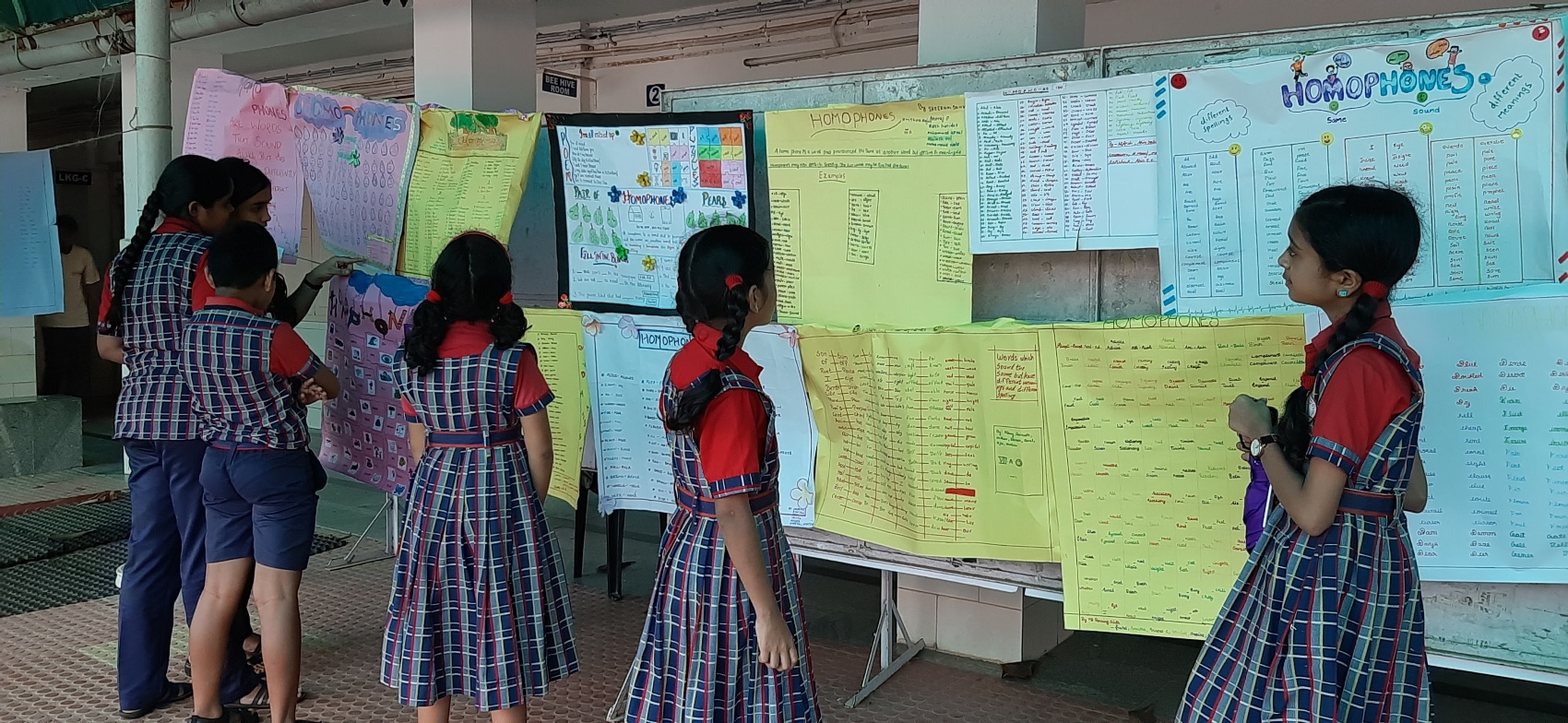 Homophones word presentation