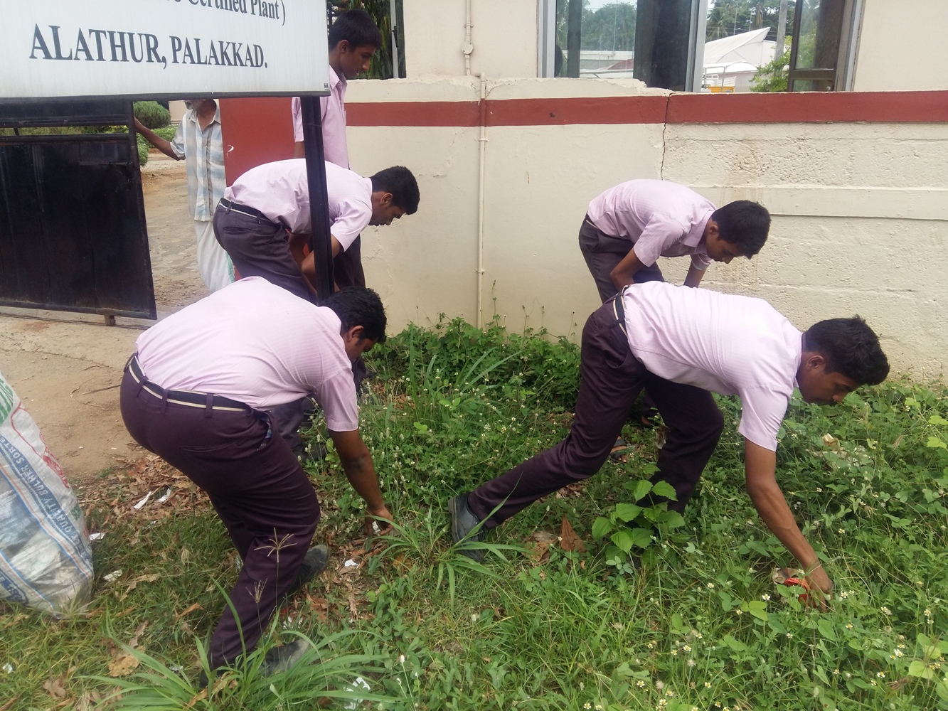 Beat Plastic -Cleaning work