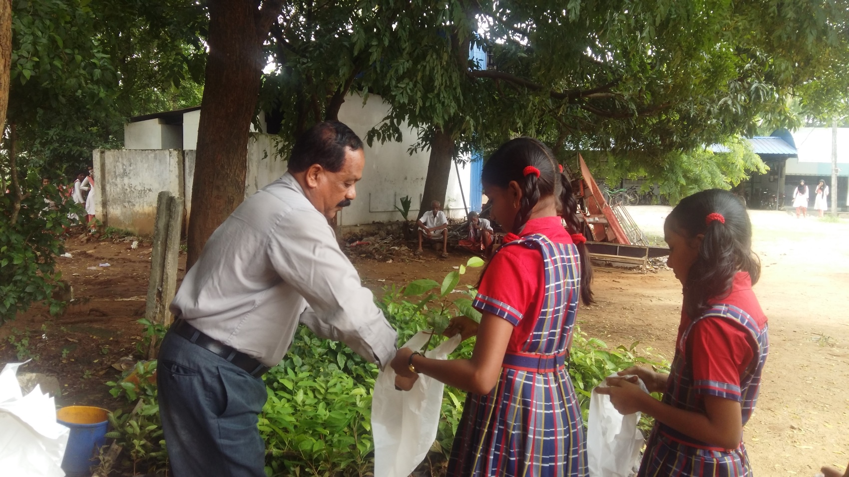 Plant Sapling Distribution- Environmental day 2018