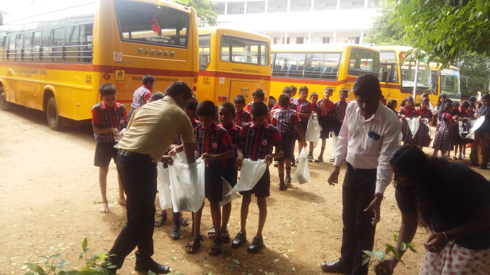 Plant Sapling Distribution- Environmental day 2018