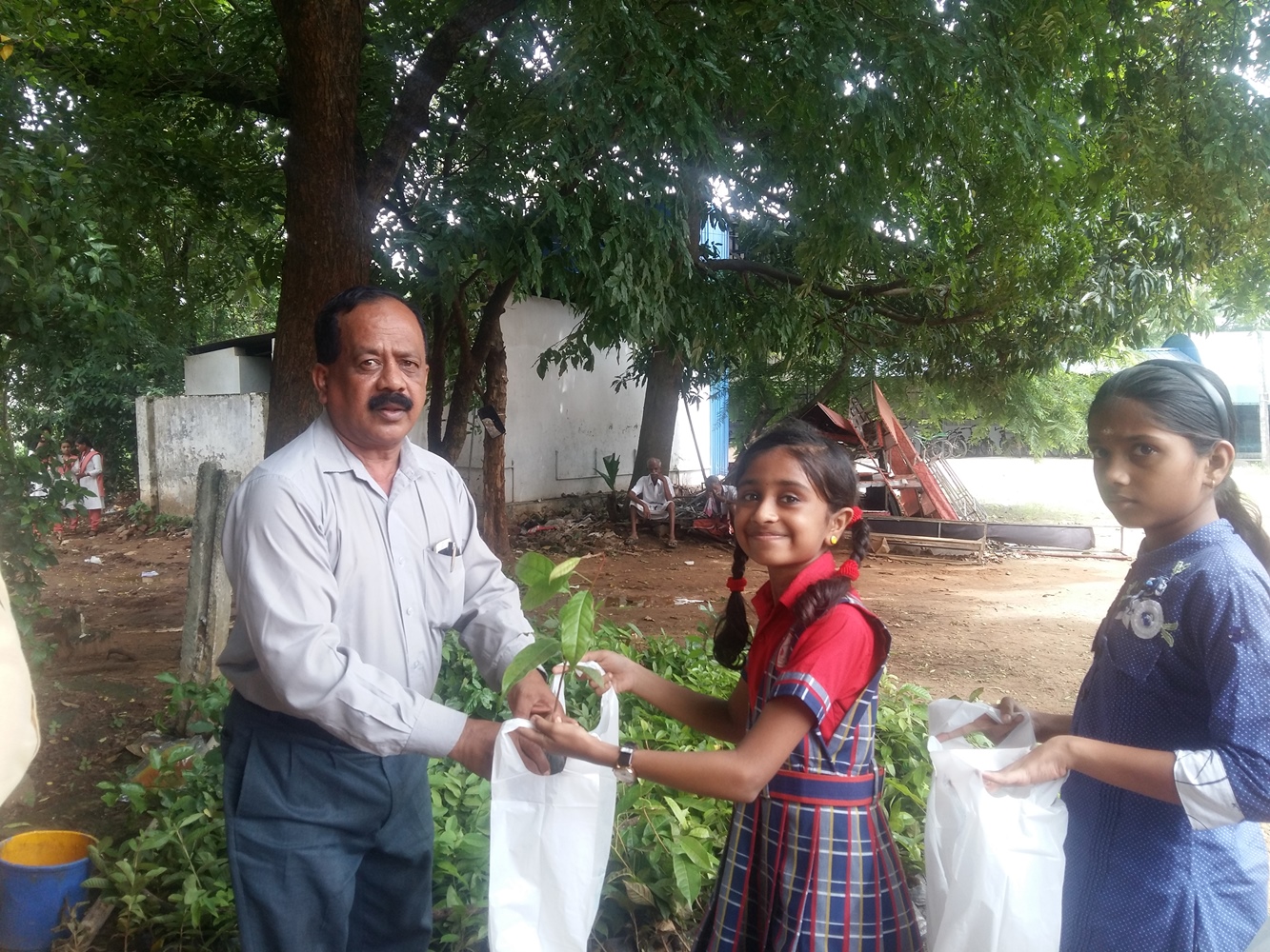 Plant Sapling Distribution- Environmental day 2018