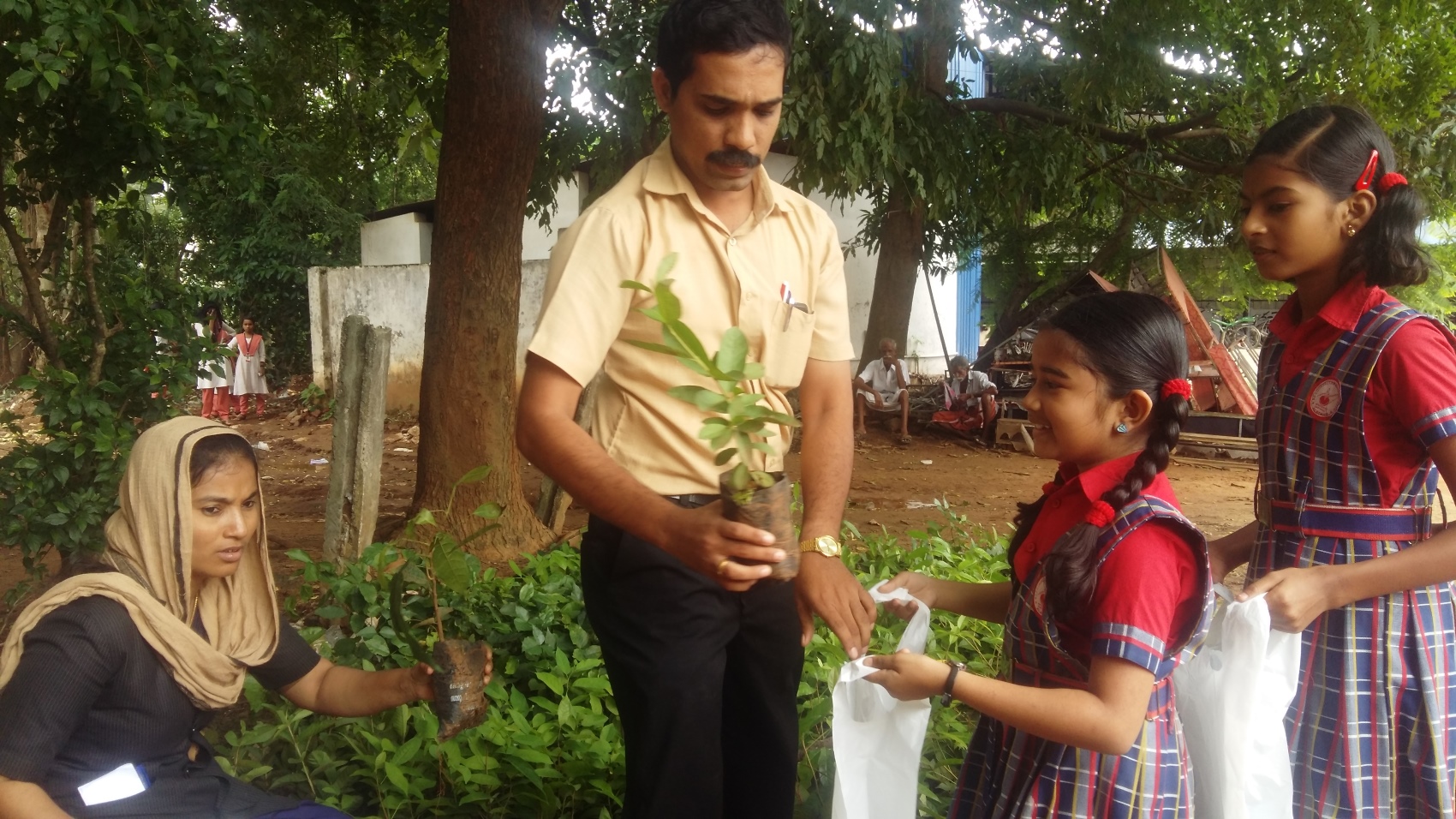 Plant Sapling Distribution- Environmental day 2018