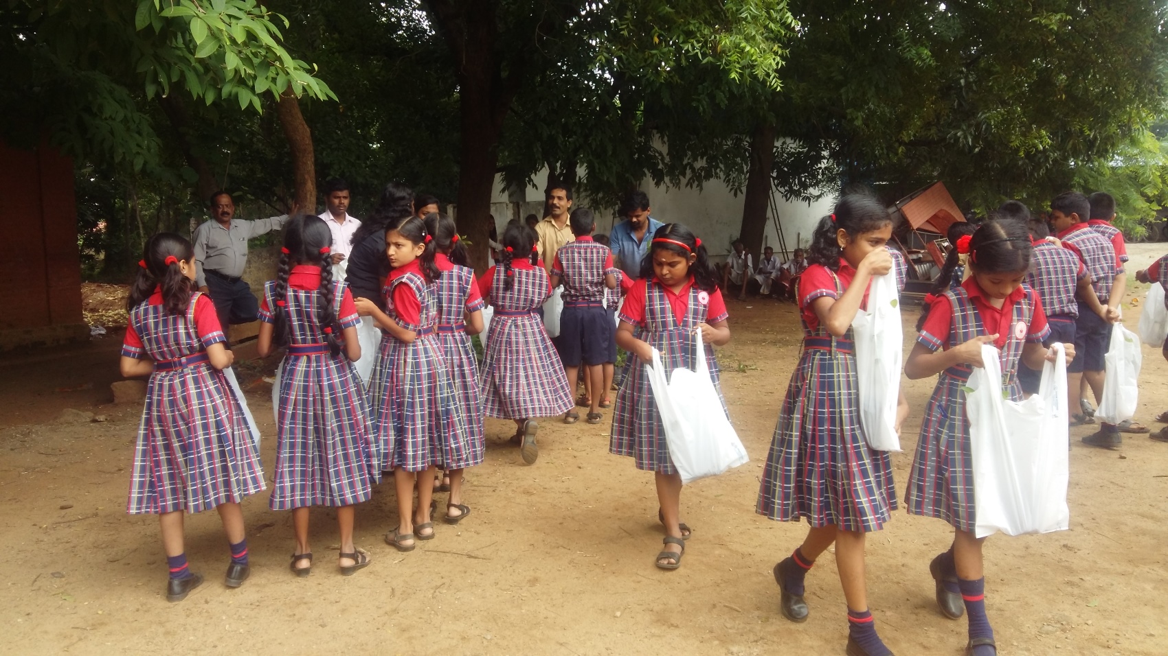 Plant Sapling Distribution- Environmental day 2018