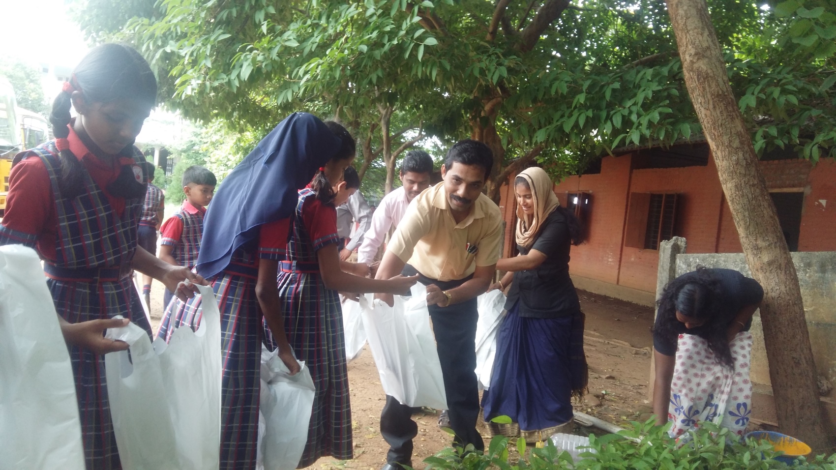 Plant Sapling Distribution- Environmental day 2018