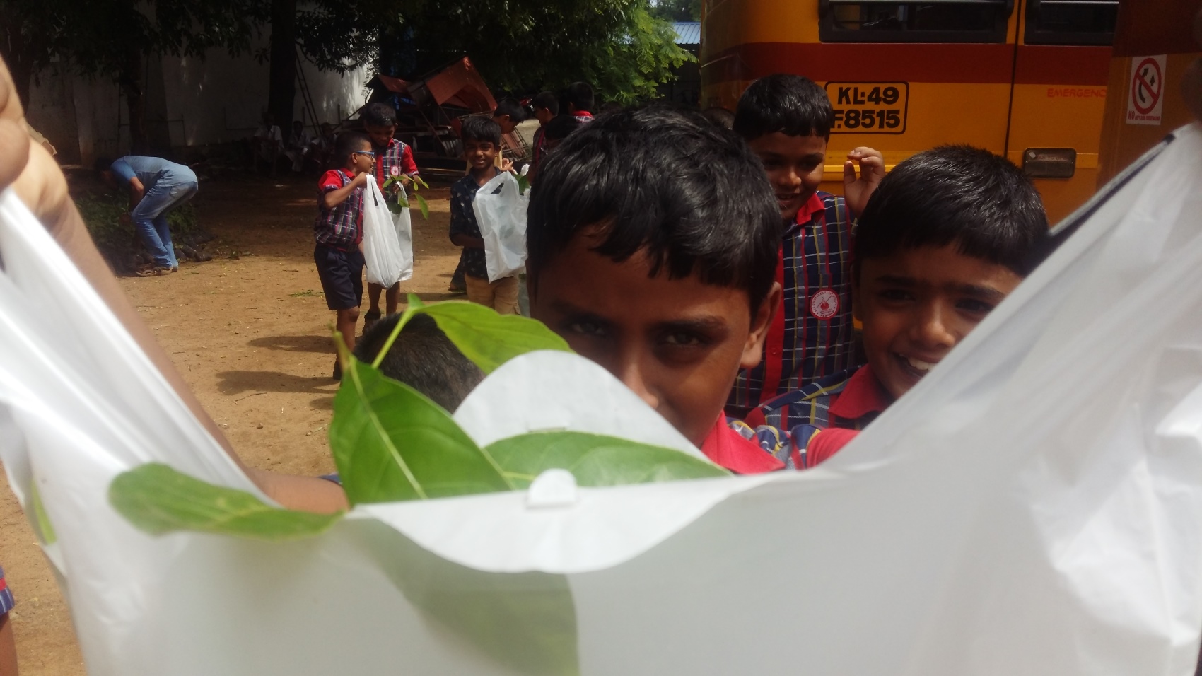Plant Sapling Distribution- Environmental day 2018