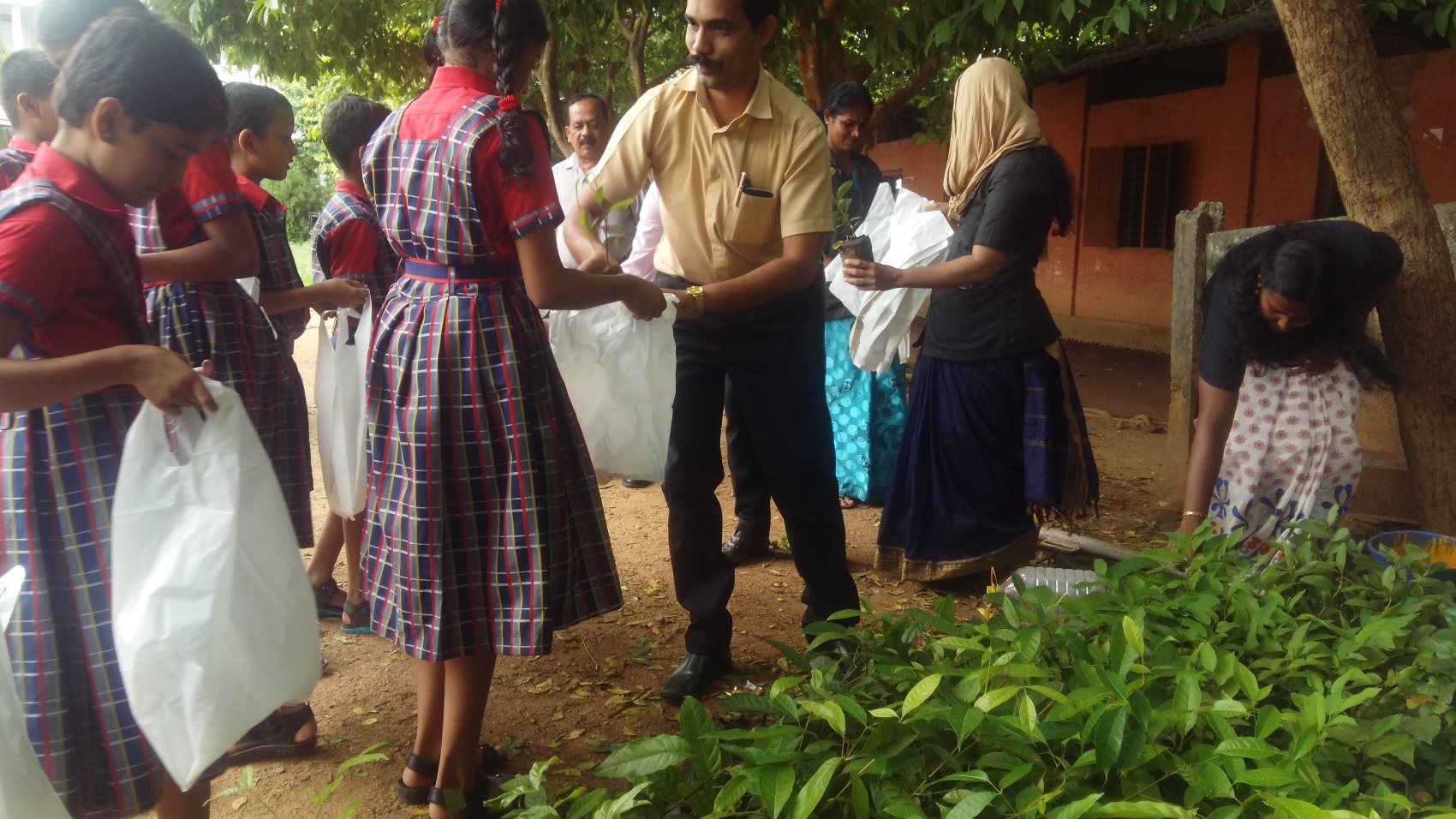 Plant Sapling Distribution- Environmental day 2018