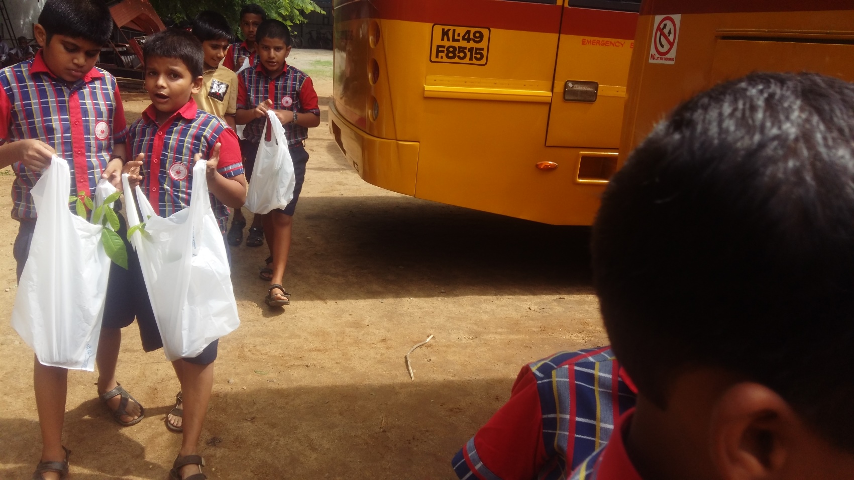 Plant Sapling Distribution- Environmental day 2018