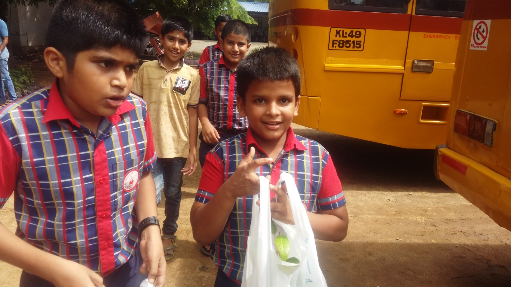 Plant Sapling Distribution- Environmental day 2018
