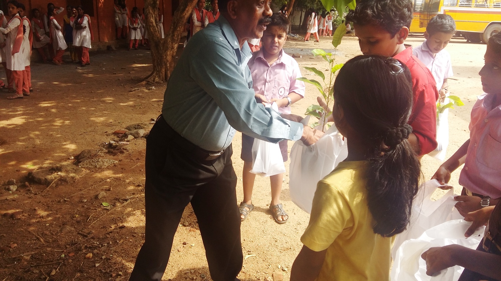 Plant tree sapling distribution 2016