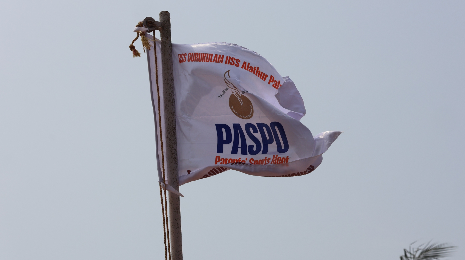 PASPO(PArent's SPOrts) Season 1