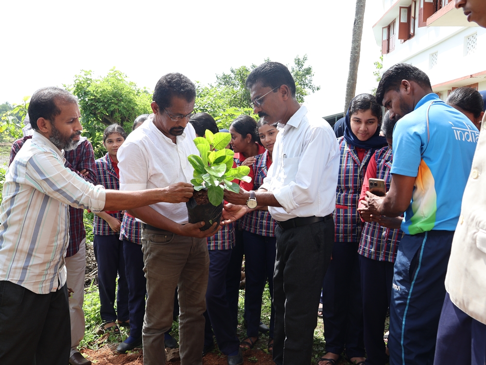 World Environment Day 2025