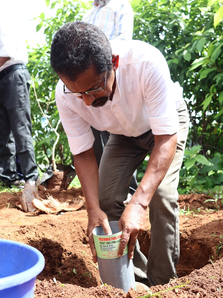 World Environment Day 2025
